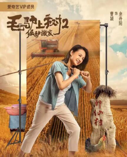 豪门浪荡史赵无为免费阅读