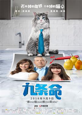 3p影视