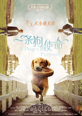 放荡的闷骚娇妻坐上来粗暴