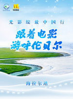 黄页网站视频