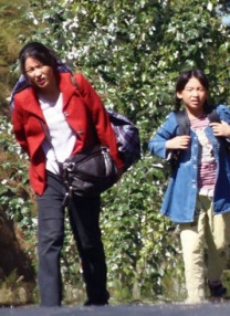 免费在线视频日本